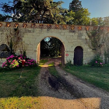 Bed and Breakfast Chateau De Rys Bossay-sur-Claise Экстерьер фото