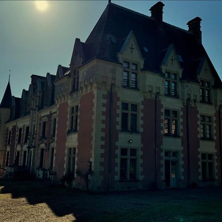 Bed and Breakfast Chateau De Rys Bossay-sur-Claise Экстерьер фото