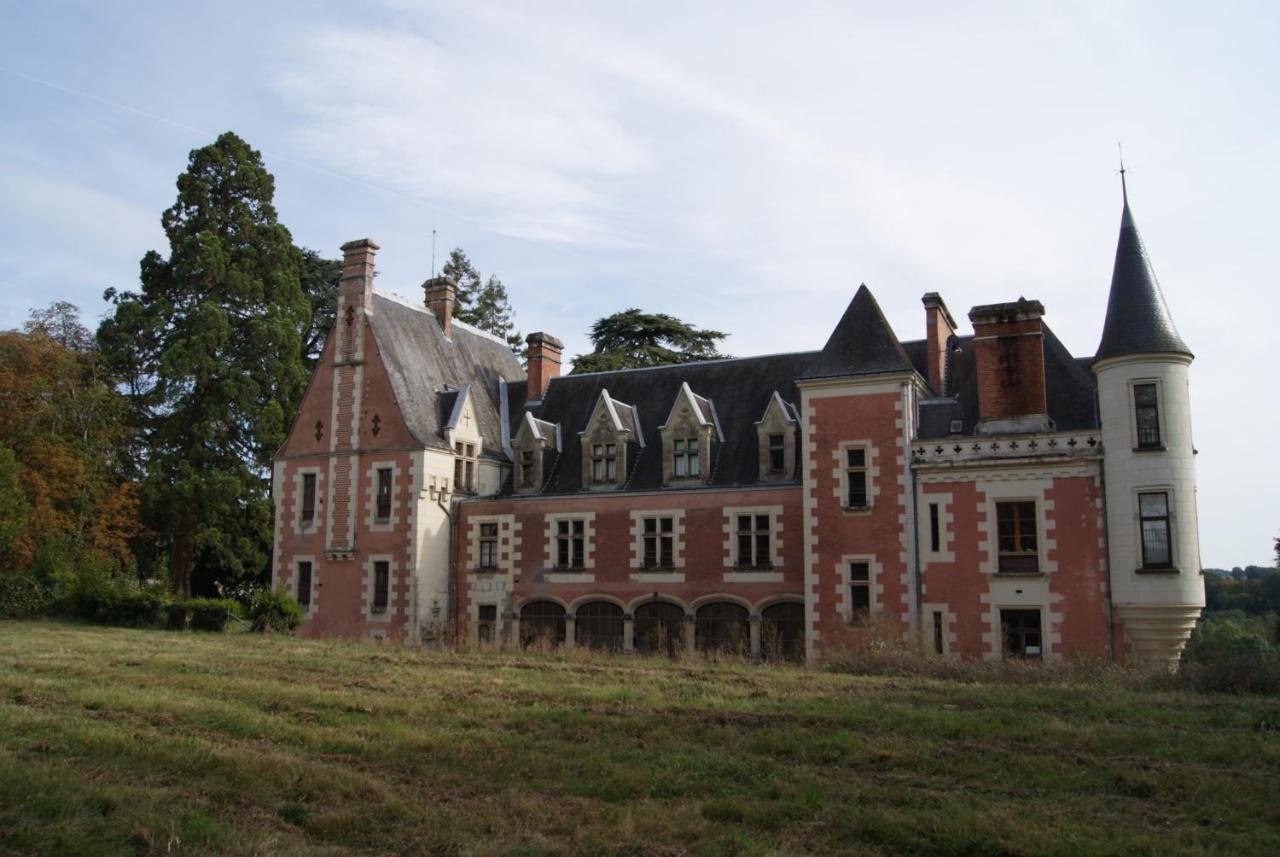 Bed and Breakfast Chateau De Rys Bossay-sur-Claise Экстерьер фото