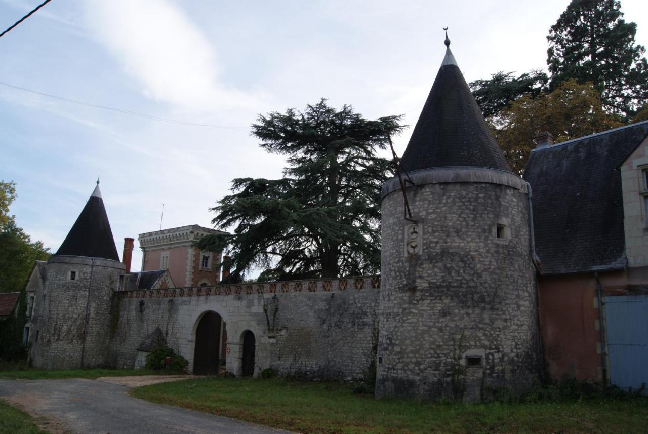 Bed and Breakfast Chateau De Rys Bossay-sur-Claise Экстерьер фото