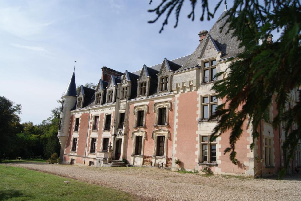 Bed and Breakfast Chateau De Rys Bossay-sur-Claise Экстерьер фото